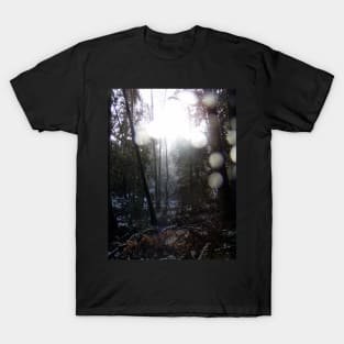 Forest Sun Rays in the Snow #64 T-Shirt